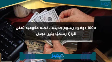 «100 دولار» رسوم جديدة.. لجنة حكومية تعلن قرارًا رسميًا يثير الجدل